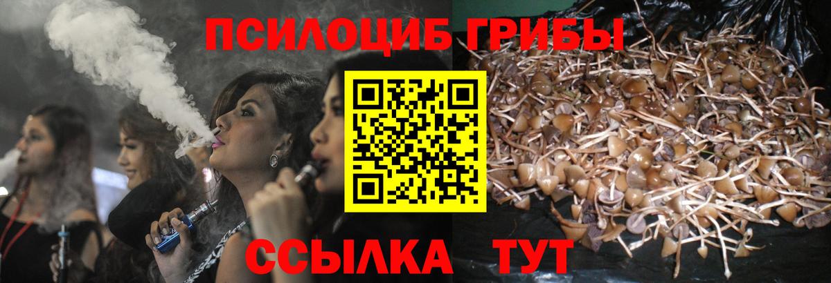 Владимир  Псилоцибиновые грибы ЛСД  Галлюциногенные грибы прущие грибы  Вход с VPN 