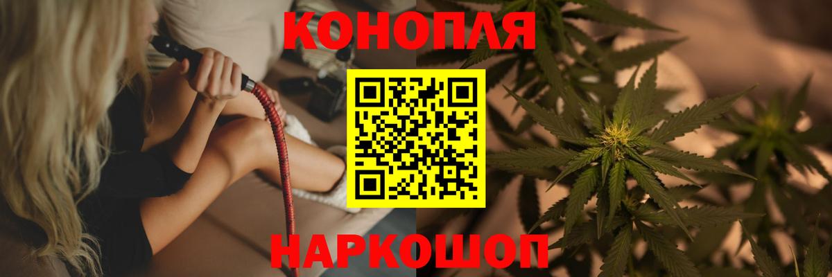 Конопля марихуана Владимир